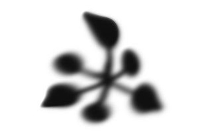 Slapjaxx Slapjaxx logo